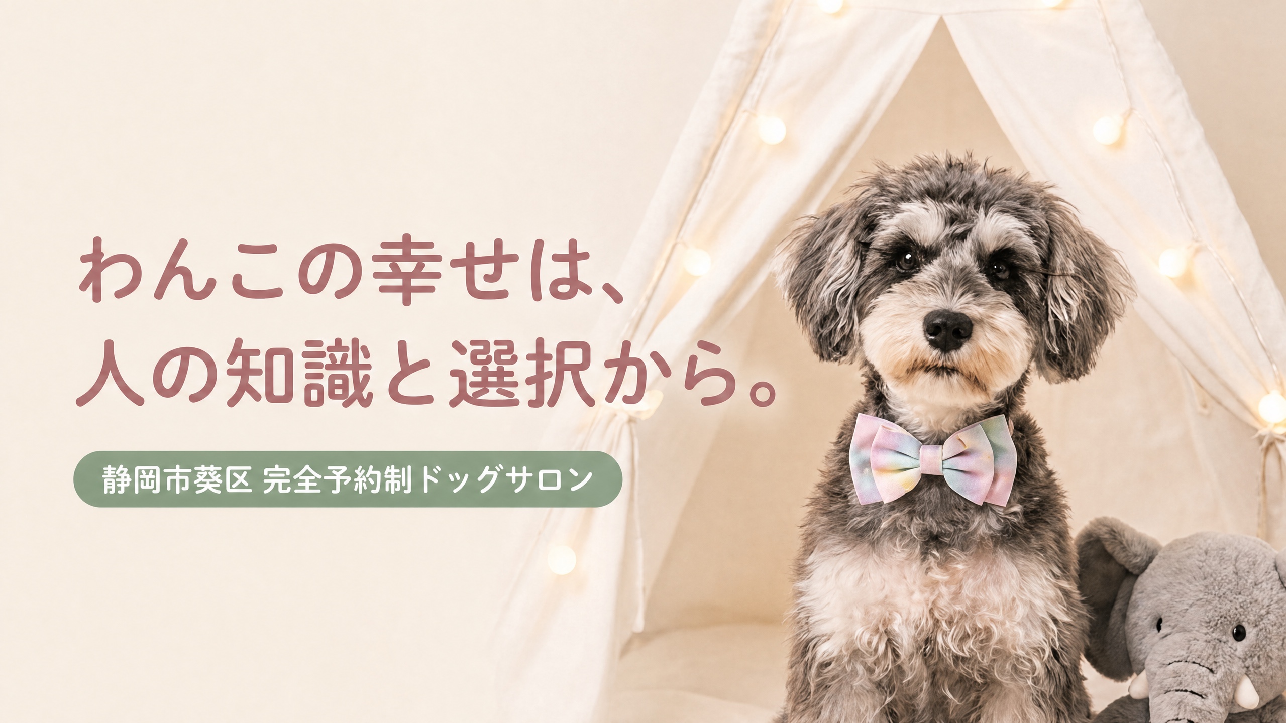 MAKARON grooming わんこの幸せは、人の知識と選択から。静岡市葵区 完全予約制ドッグサロン